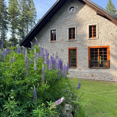 Herenhaus بيت للعطل سشلوشسي